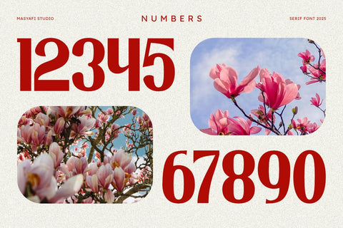 Magnolie - Vintage Serif Font Font Masyafi Studio 