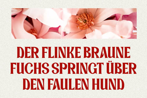 Magnolie - Vintage Serif Font Font Masyafi Studio 