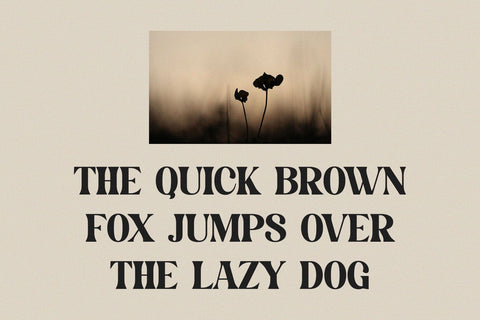 Mahersy - Classic Display Serif Font studioalmeera 