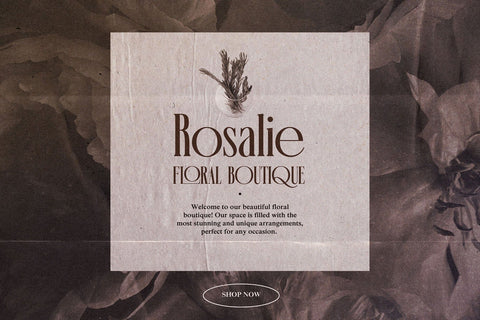 Mahogany - Vintage Ligature Serif Font studioalmeera 