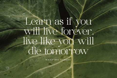 Maiken - Modern Stylish Font Font Letterena Studios 