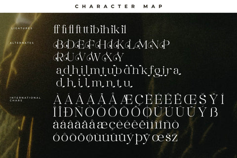 Maiken - Modern Stylish Font Font Letterena Studios 