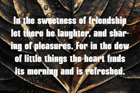 Mailgold - A Bold Sans Serif Font studioalmeera 