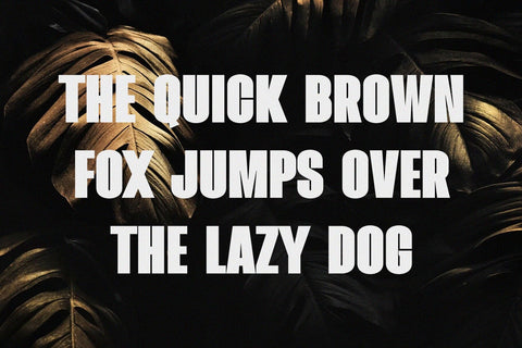 Mailgold - A Bold Sans Serif Font studioalmeera 