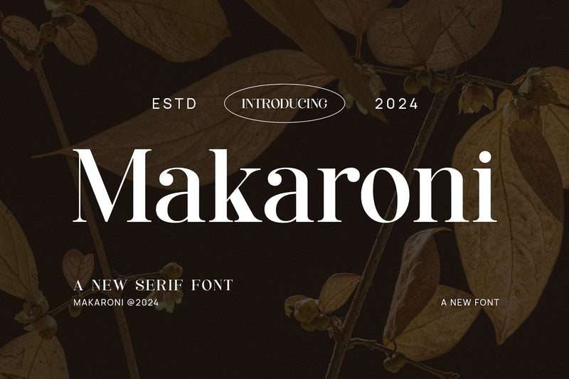 Makaroni - Classy & Stylish Serif Font studioalmeera 