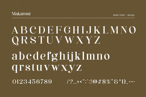 Makaroni - Classy & Stylish Serif Font studioalmeera 