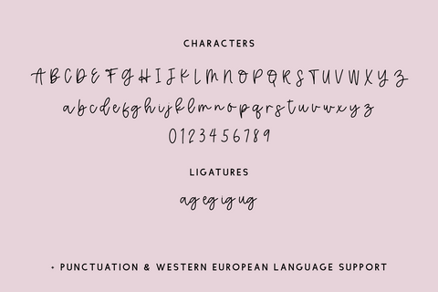 Make Fancy Script Font Beck McCormick 