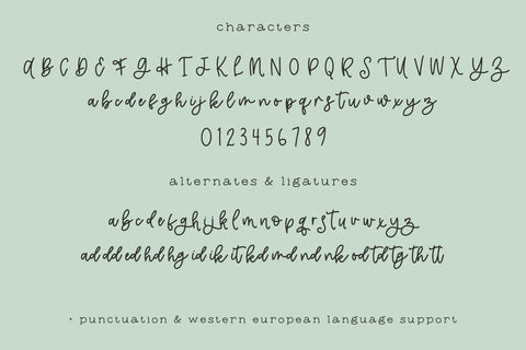 Makewild Script Font Beck McCormick 