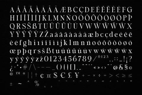 Malgio - Modern Serif Font studioalmeera 