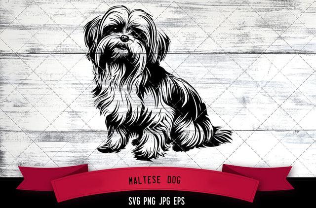 Maltese Dog SVG, Dog SVG, Logo - Digital Download with Commercial License for Cricut, Silhouette, Scan N Cut Crafting SVG Loveleen Kaur 