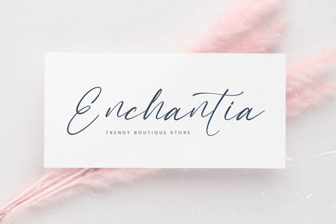 Mandyta Oliver - Freestyle Stylish Font Font Letterena Studios 