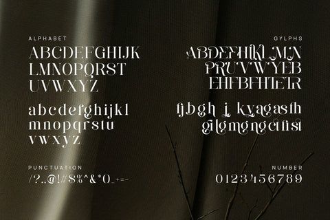 Manglove - Elegant Serif Font Font studioalmeera 