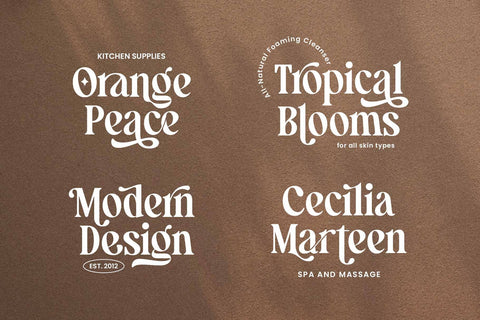 Manshera Romika – Modern Vintage Font Arterfak Project 