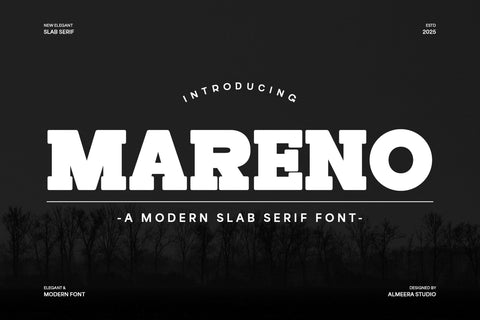 Mareno - A Modern Slab Serif Font Font studioalmeera 