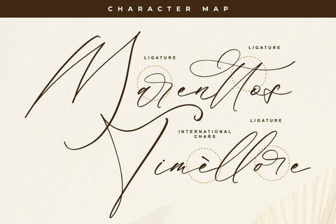 Marenttos Timellore - Modern Calligraphy Script Font Letterena Studios 