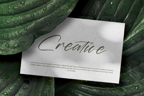Marie Glachith - Beautiful Script Font Font Letterena Studios 