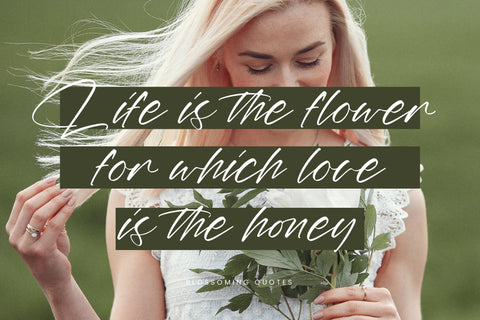 Marie Glachith - Beautiful Script Font Font Letterena Studios 