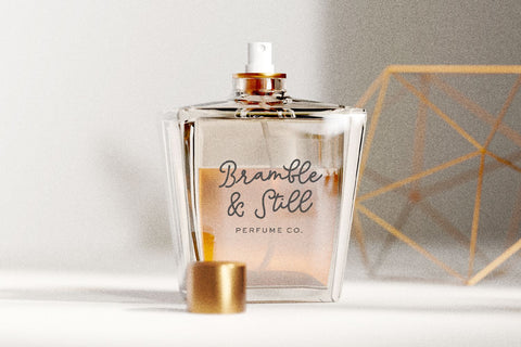 Marigold Manor Script Font Beck McCormick 