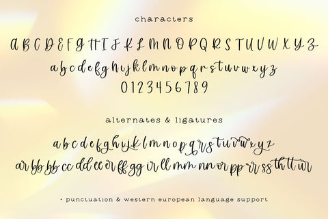 Marigold Market Script Font Beck McCormick 