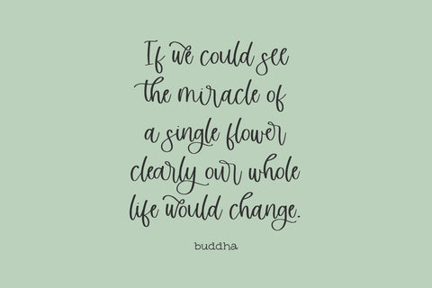 Marigold Market Script Font Beck McCormick 