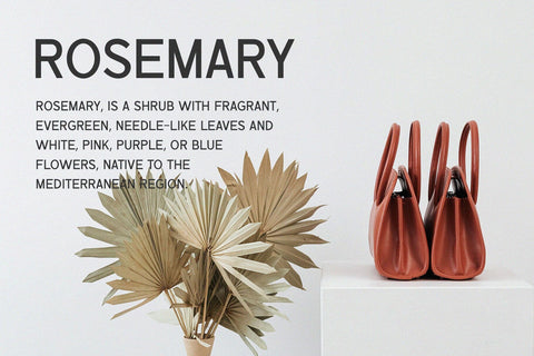 Marika - Modern Sans Serif Font studioalmeera 