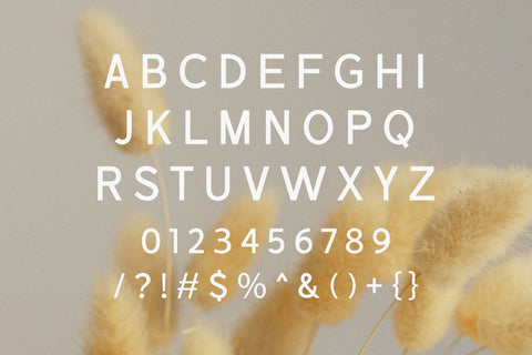 Marika - Modern Sans Serif Font studioalmeera 