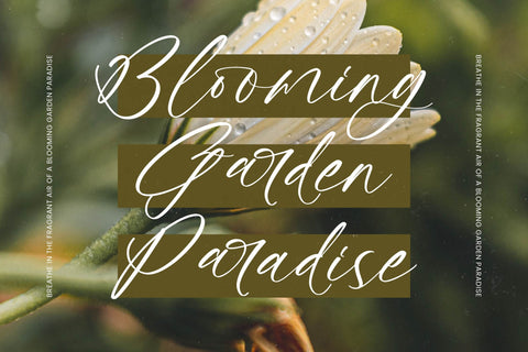 Maristya Juliette - Modern Handwritten Script Font Letterena Studios 