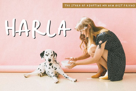 Market - Handwritten Font Font KA Designs 