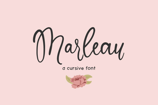 Marleau Script Font Font Beck McCormick 
