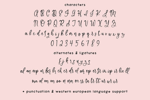 Marleau Script Font Font Beck McCormick 