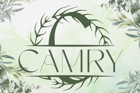 Marquessia Split Monogram Font Font Dm Letter Studio 