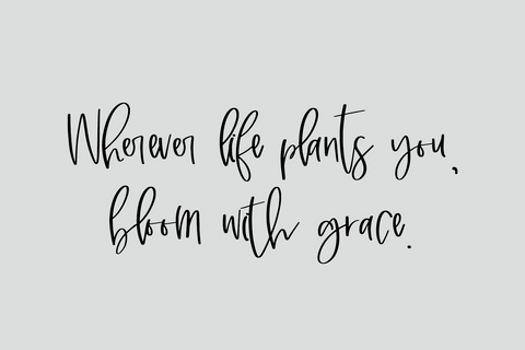 Marshland Script Font Beck McCormick 