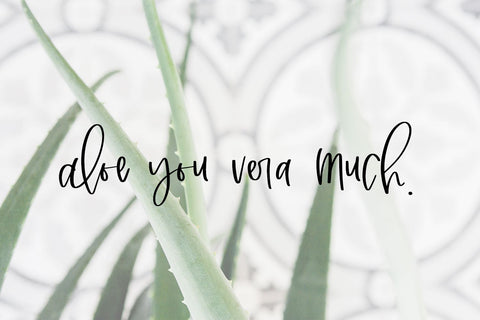 Marshland Script Font Beck McCormick 