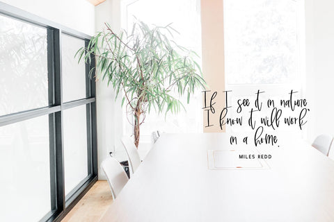 Marshland Script Font Beck McCormick 