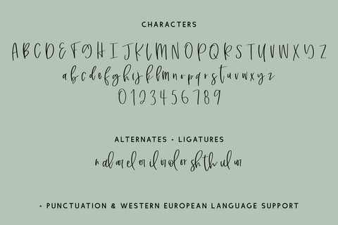 Marshland Script Font Beck McCormick 