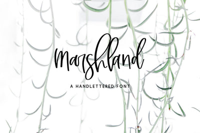 Marshland Script Font Beck McCormick 