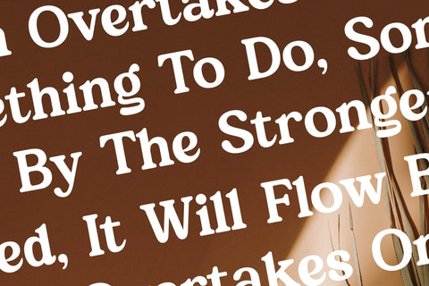 Martin Breaks - Retro Serif Font Font Letterena Studios 