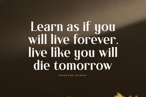 Mascefla - New Modern Serif Font Font Letterena Studios 