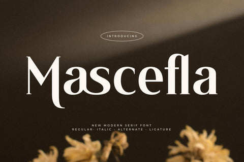 Mascefla - New Modern Serif Font Font Letterena Studios 