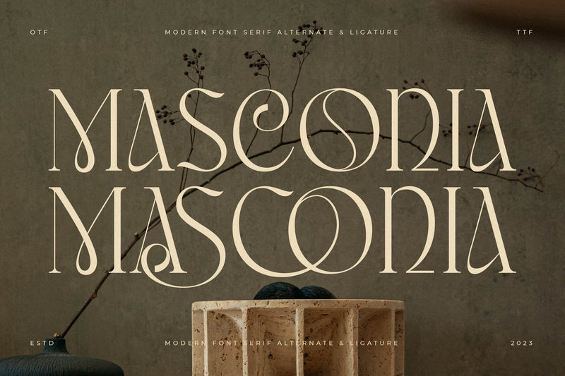 Masconia Typeface Font Storytype Studio 