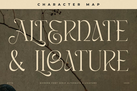 Masconia Typeface Font Storytype Studio 