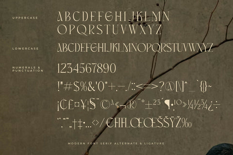 Masconia Typeface Font Storytype Studio 