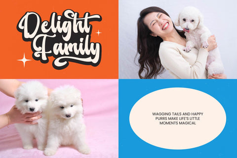 Master Groovy - Retro Goovy Script Font Letterena Studios 