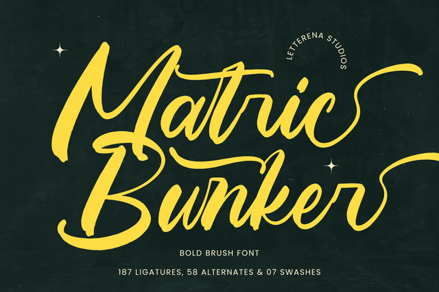 Matric Bunker - Bold Brush Font Font Letterena Studios 