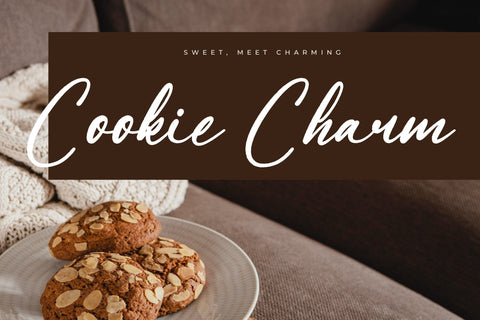 Matthew Rustical - Modern Freestyle Script Font Letterena Studios 