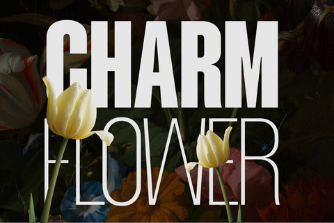 Mavine Font Zeenesia Std 