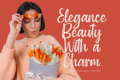 Mayory Overlag - Bold Brush Font Font Letterena Studios 