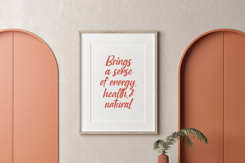 Mayory Overlag - Bold Brush Font Font Letterena Studios 