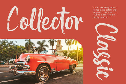 Mayory Overlag - Bold Brush Font Font Letterena Studios 