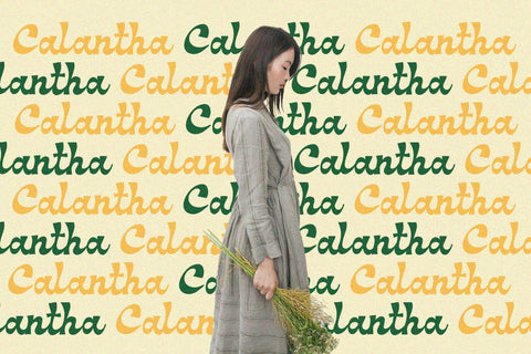 Meadow - Groove Script Font Font Alpaprana Studio 